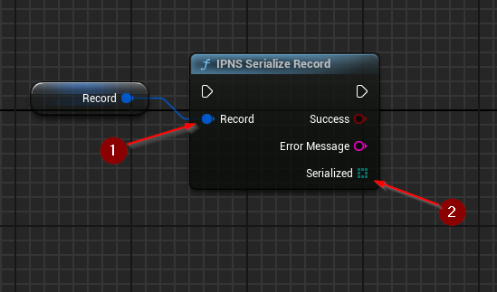 IPNS Serialize Record